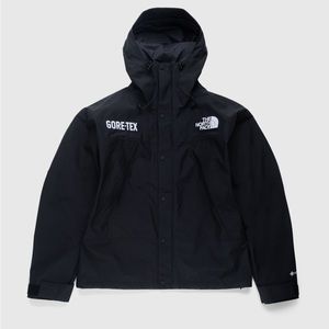 The North Face Gore-Tex mountain jacket